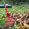 rake, rob, nature, raking, leaves, autumn, rake the leaves, cleaning